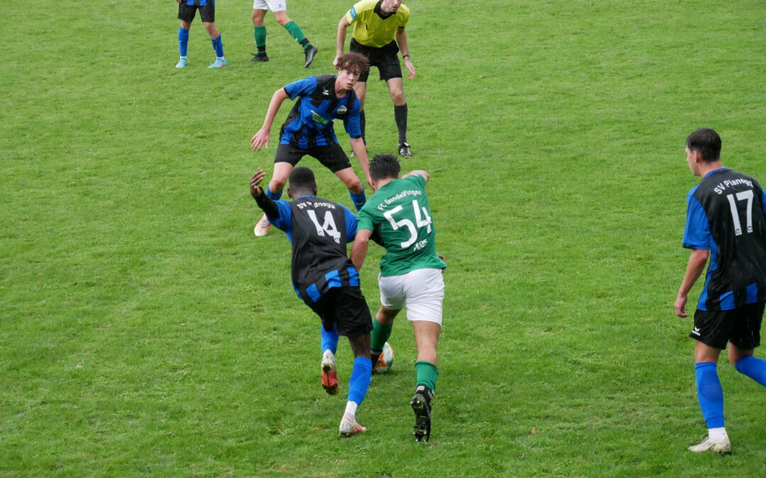 U19 Landesliga: Tabellenspitze bleibt beim SV planegg